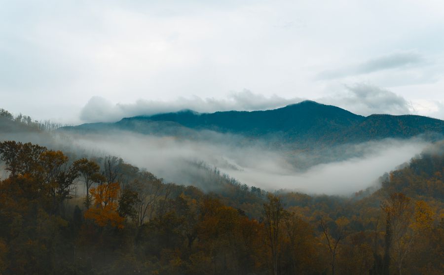 Great Smoky Mountains